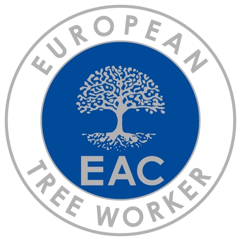 European tree worker in Neumünster