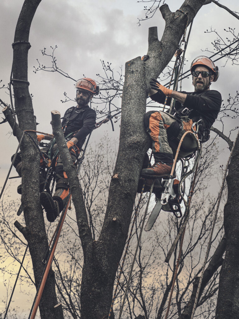 Baumpflege Team Neumünster Über Uns