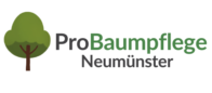 Baumpflege Neumünster